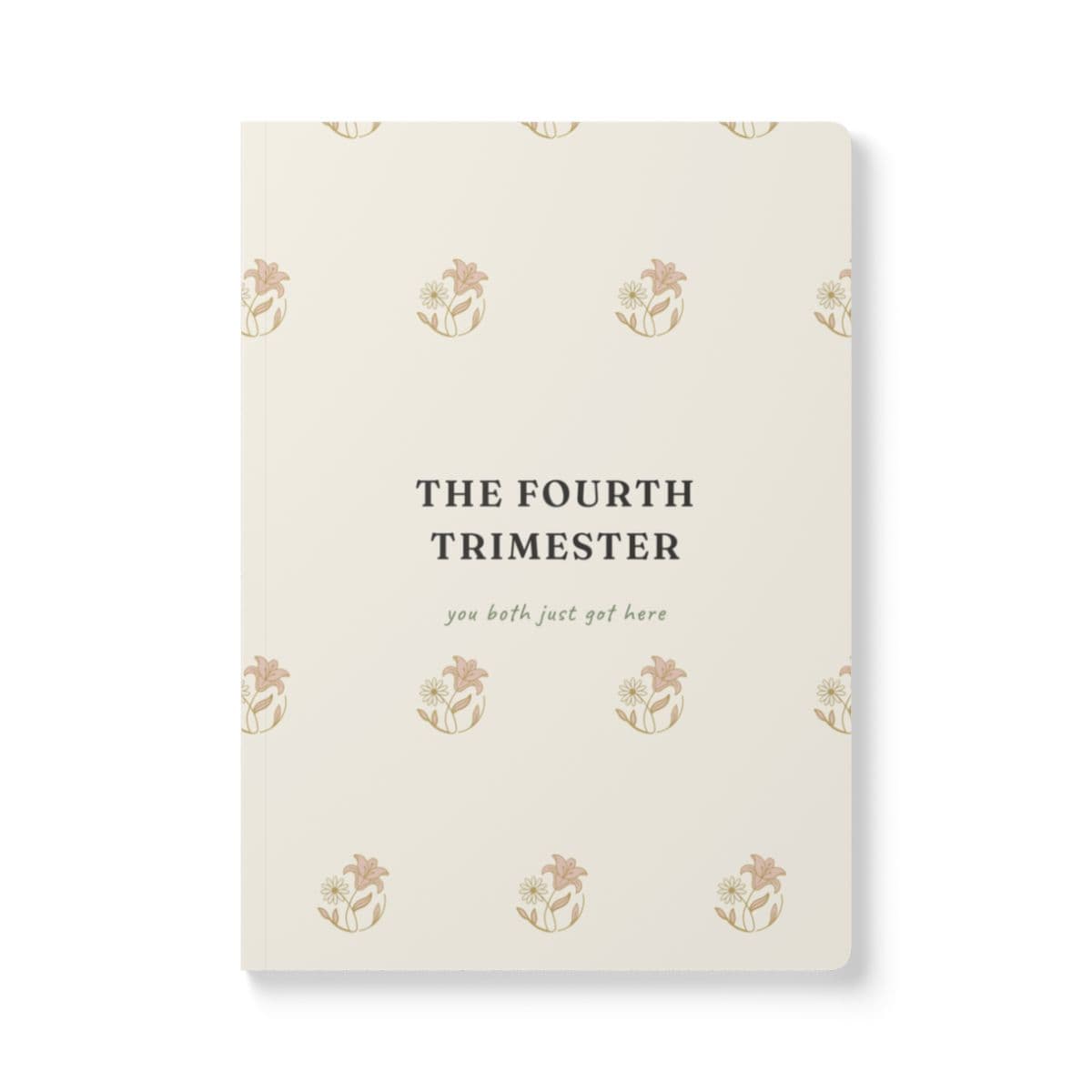 The Fourth Trimester Journal